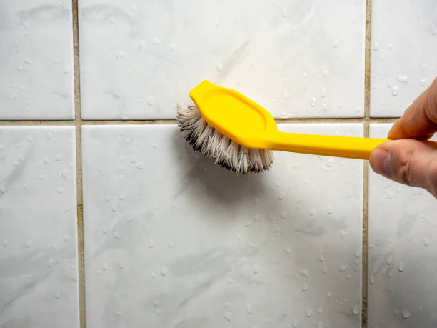 Best Insurance-Related Mold Remediation in Crown Heights, NY